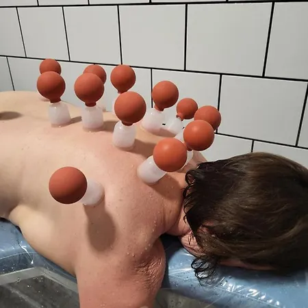 Miilia Maalaismajoitus Ja * Karijoki